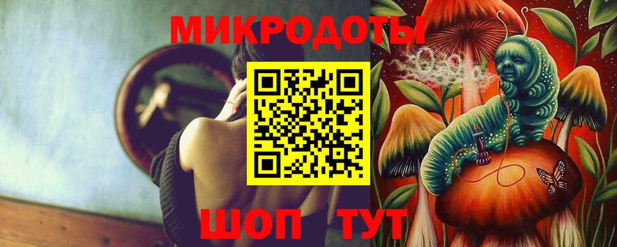 Галлюциногенные грибы Psilocybine cubensis Уварово